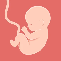 Ikon HiMommy: Aplikasi Kehamilan